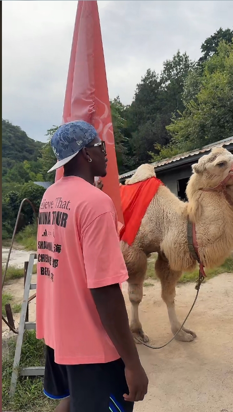 九游体育-华少长城直播秀身材 持扇半裸与兄弟舞旗驾骆驼引关注